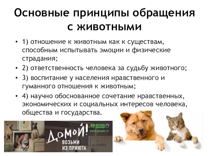 ce716410a7bb190dbda16ef4b8b2c4a3-800x.jpg