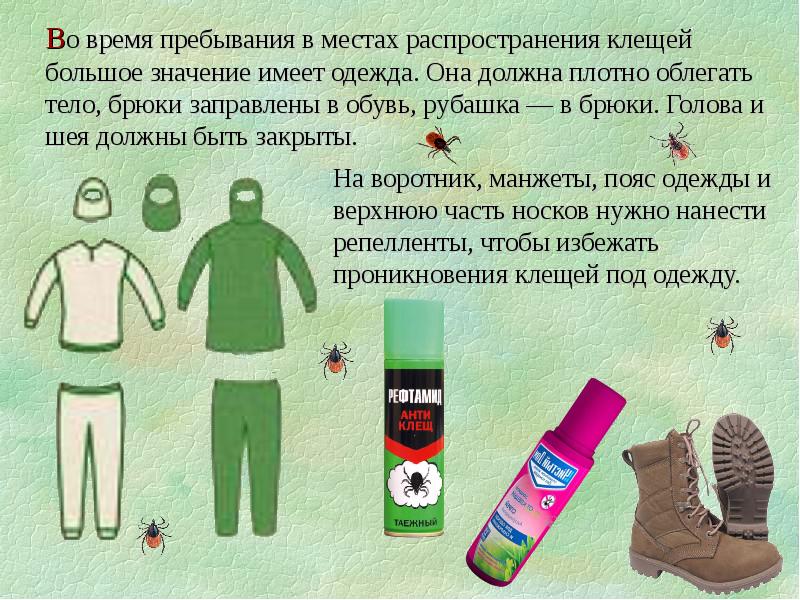 клещи 1.jpg
