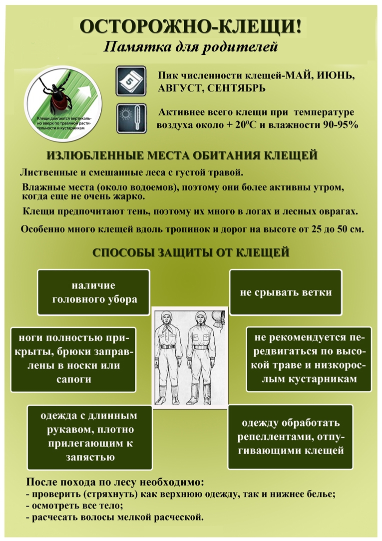 клещи 4.jpg