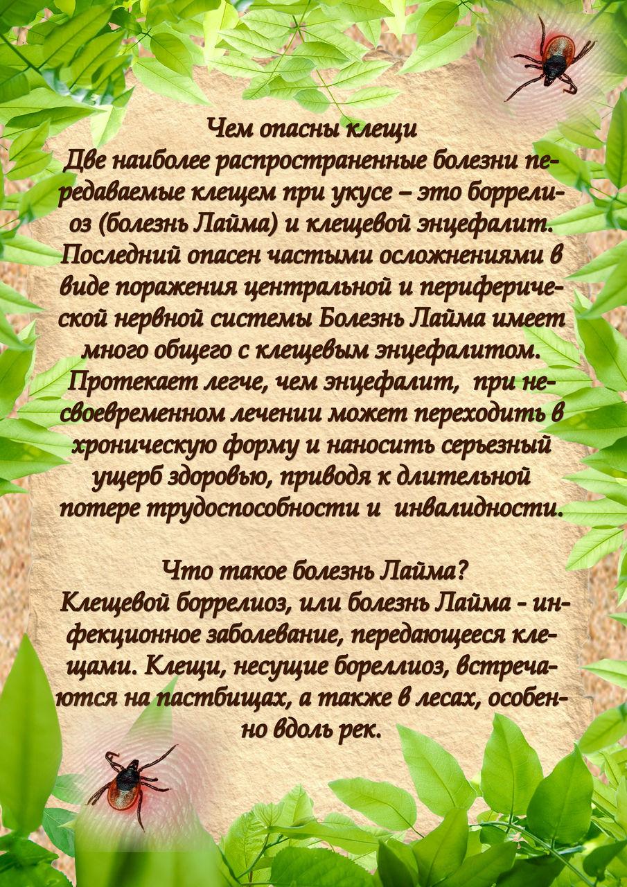 клещи2.jpg