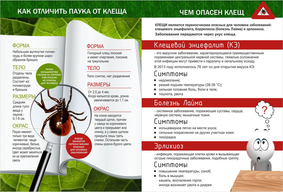 клещи3.jpg