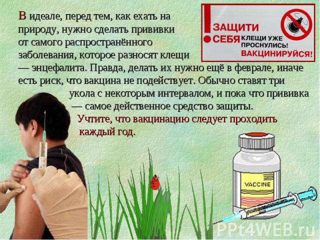 клещи5.jpg