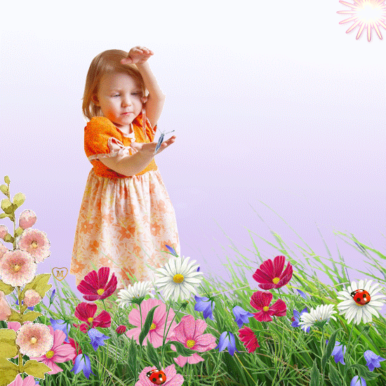 image.gif