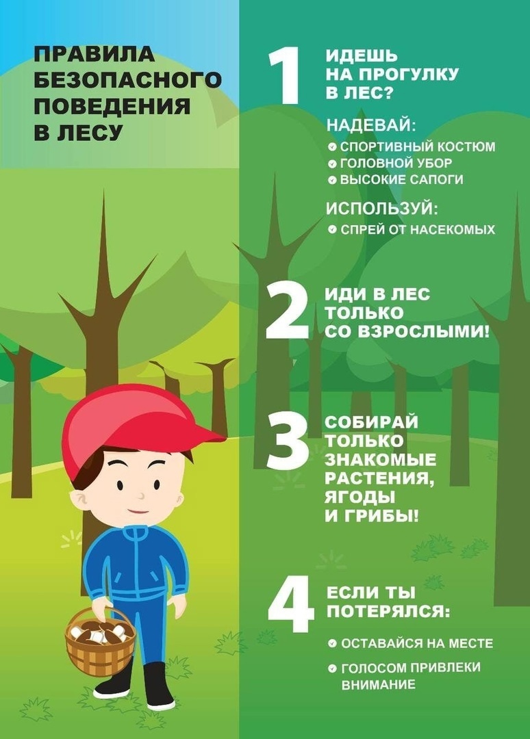 -fYmkCYIZSA.jpg