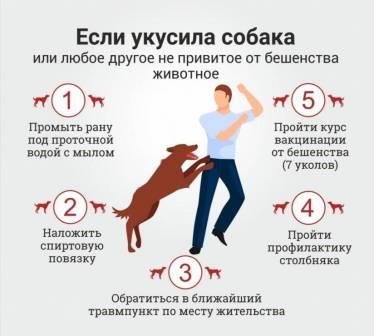 13deaff77112c792e87958b386e8e076.jpeg
