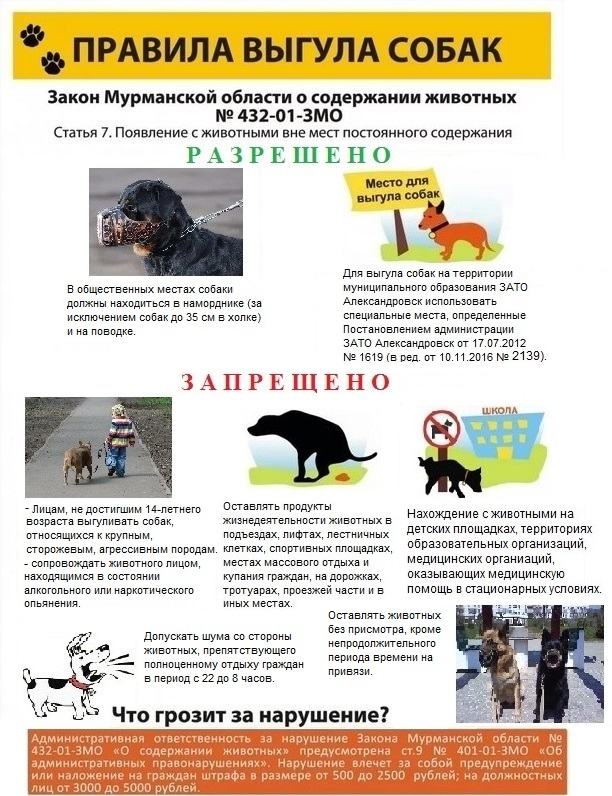EOumj7CXsAEa0SE.png_large.png
