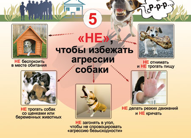 agressiya_1_667_480_jpg_5_100.jpg