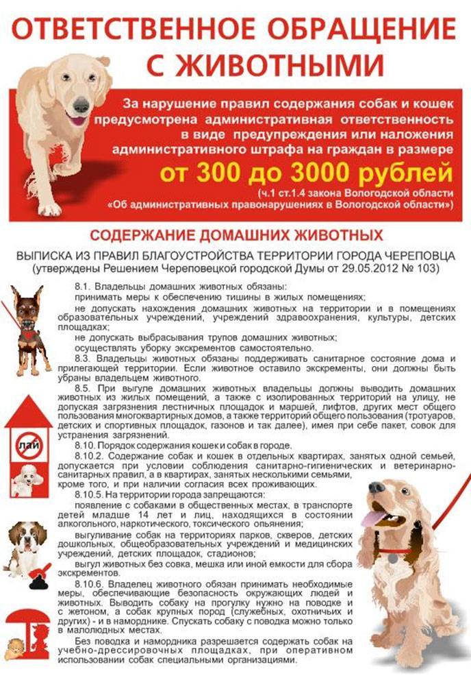 d9715dd052af74d610dfefe6824bf4a9.jpeg