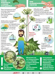 images (1).jpg