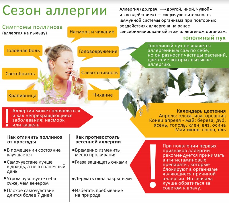 алергия.jpg