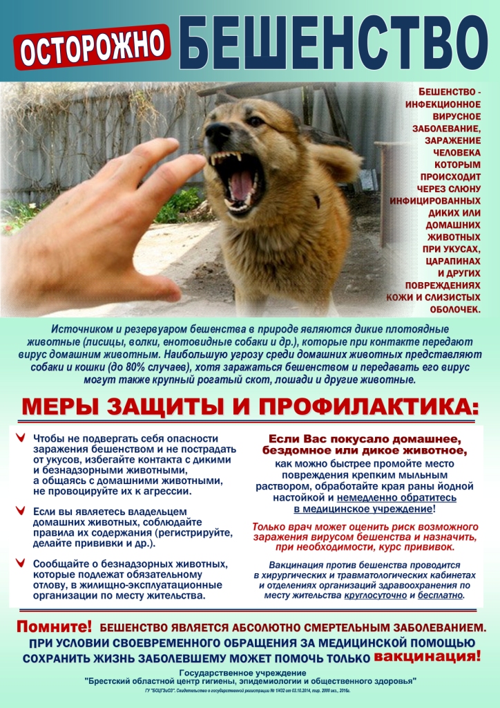 бешенство.jpg