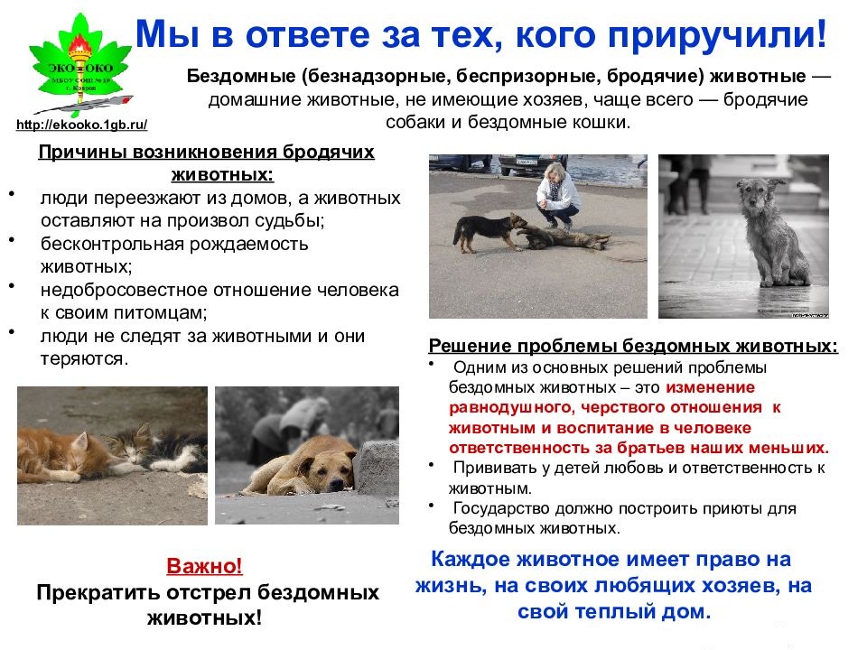 з0.jpeg