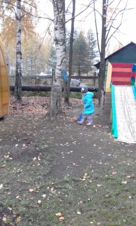 20181012_114756.jpg