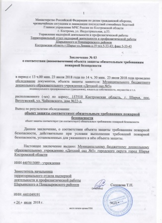 Пожнадзор_заключение.jpg