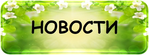 новости.jpg