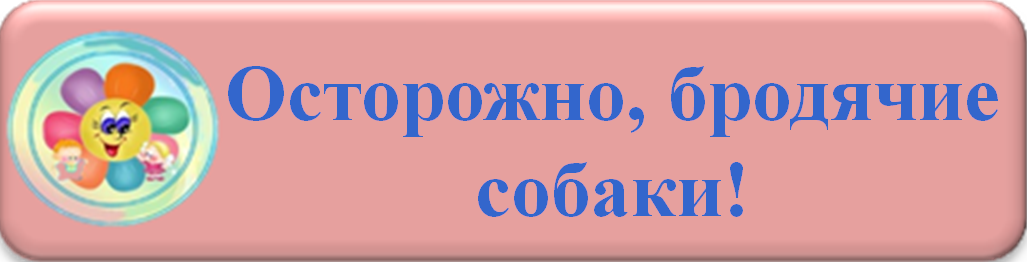 ол.png