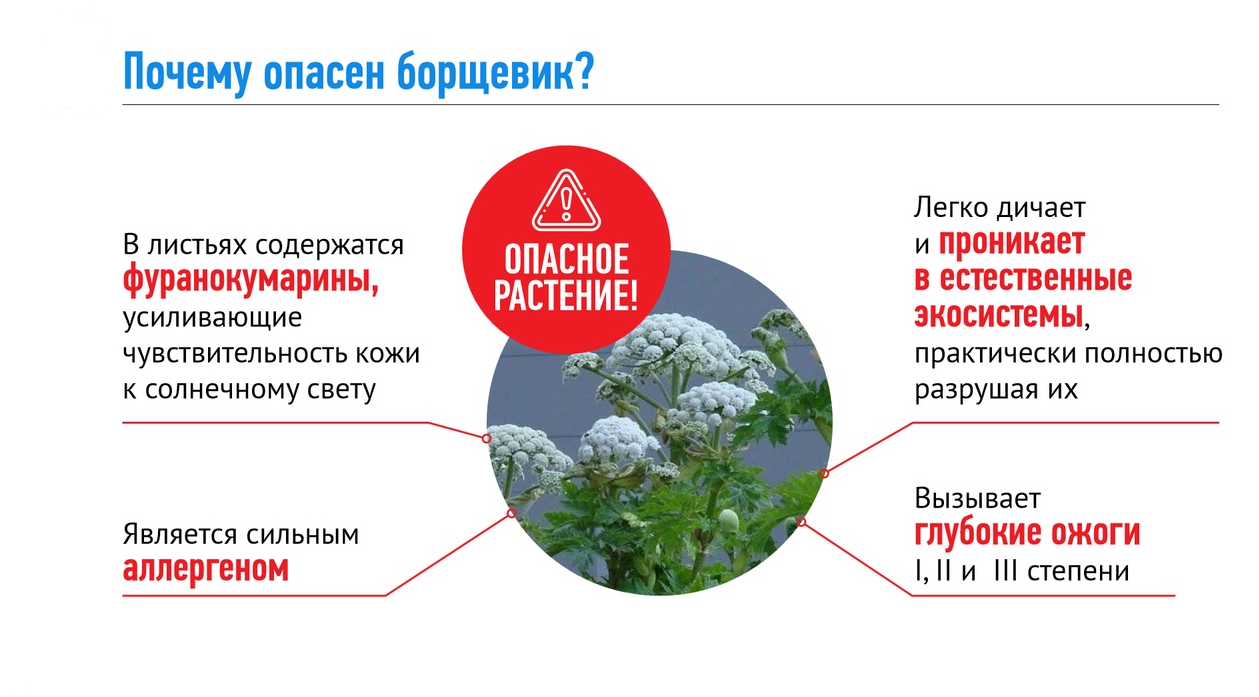 Безымянный.pngвае.png