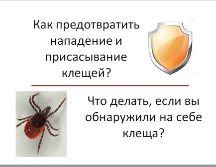 ОСТОРОЖНО КЛЕЩ.jpg