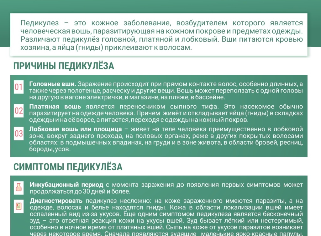 ПЕДИКУЛЕЗ.jpg