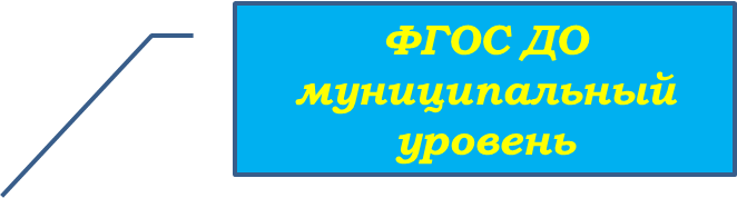 ФГОС муниципальный уровень.png