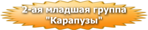 49.png