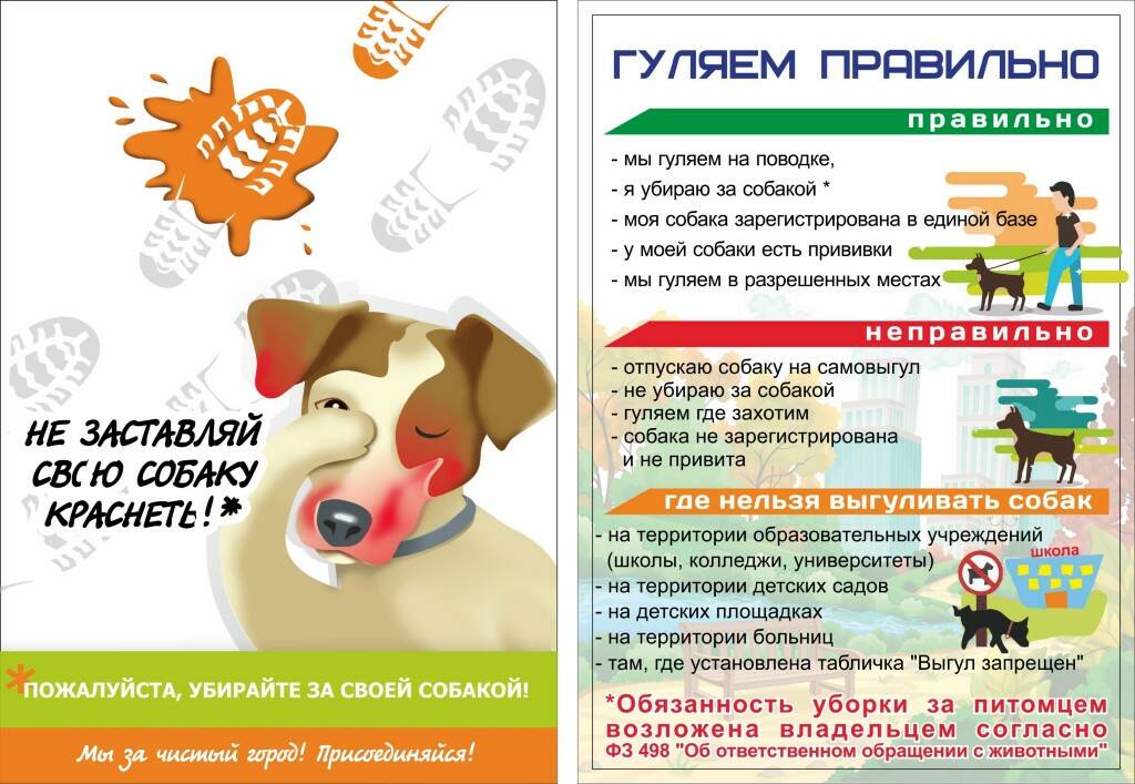 Гуляем правильно.jpg