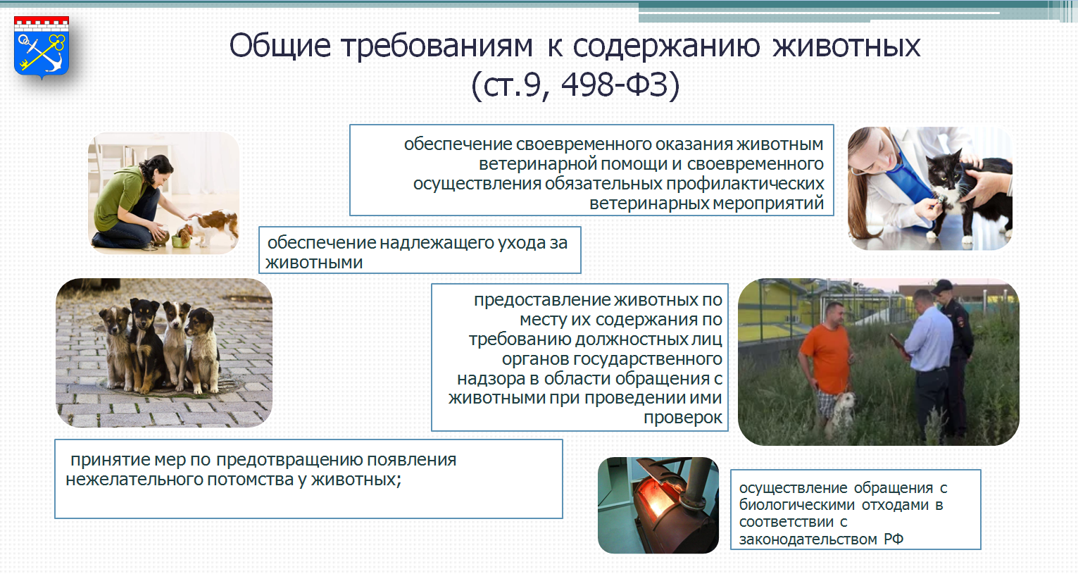 Общие требования к содержанию животных - копия.png