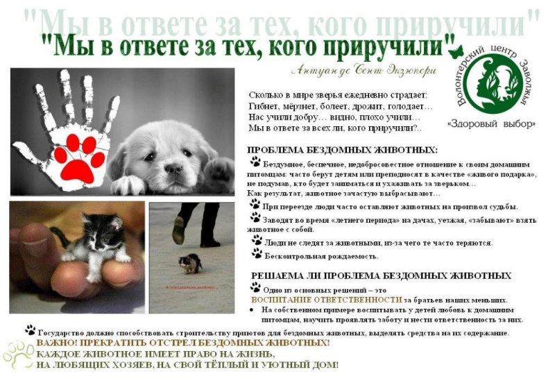 буклет.jpg