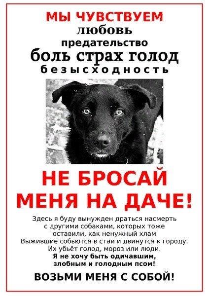 листвка.jpg