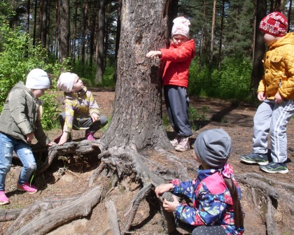 SDC14476.JPG