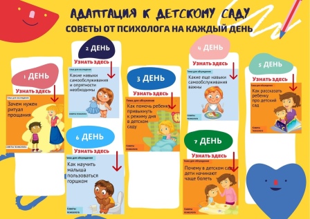 адаптация в доу инфографика.jpg