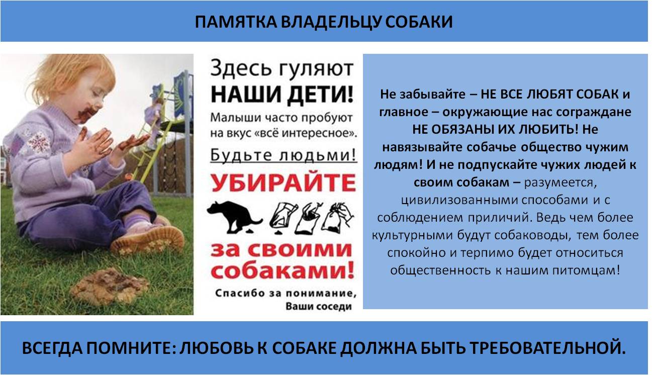2022_собаки.jpg