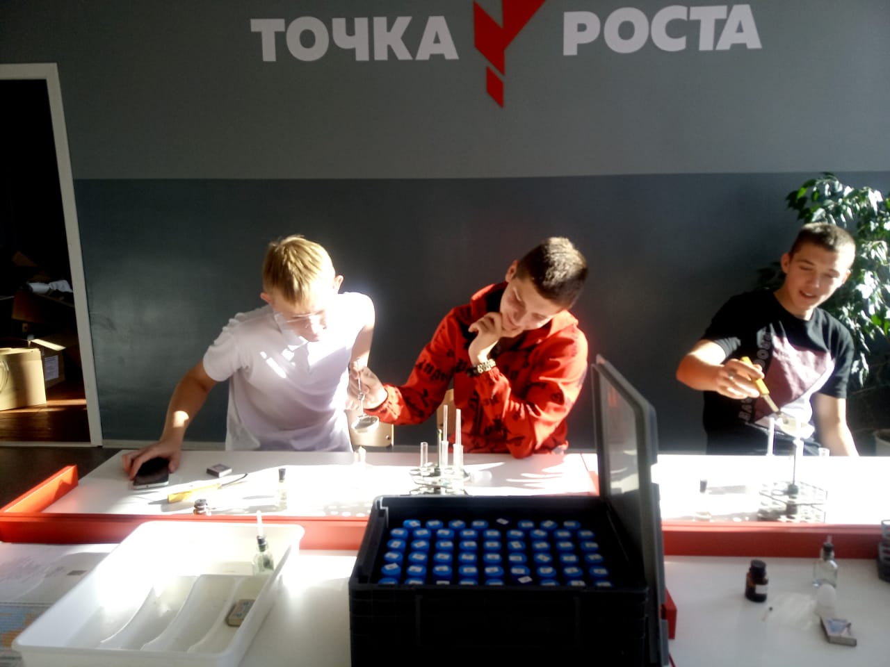 IMG-20221128-WA0000.jpg