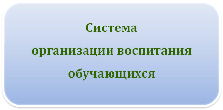 7 (1).png