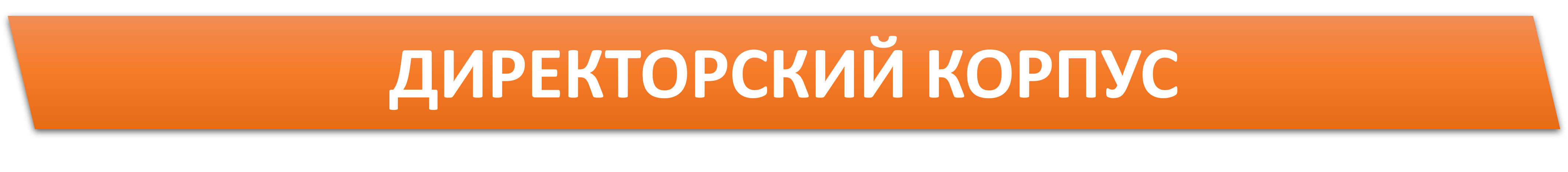 дИРЕКТОРСКИЙ КОРПУС.png