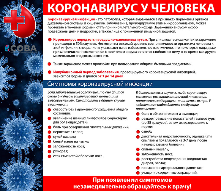 коронавирус у человека.jpg