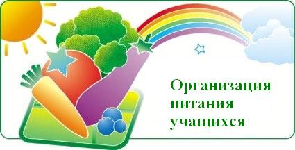 пит.JPG