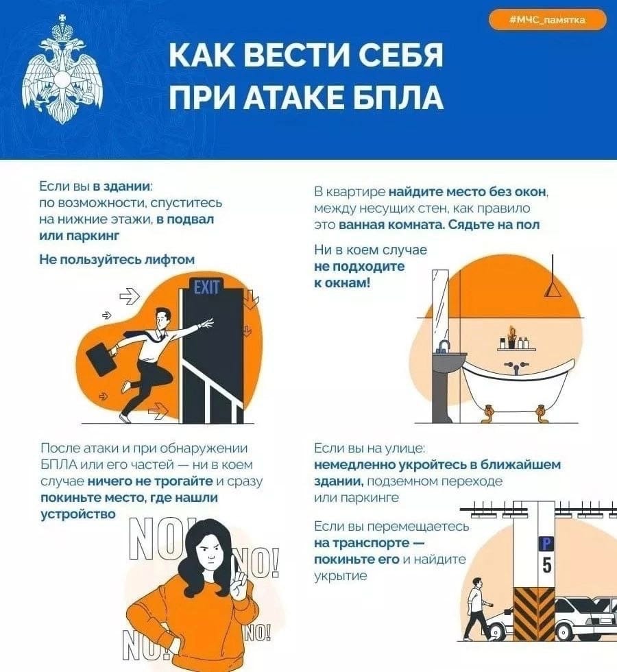 74303767-5006-46b6-b0a1-8c0dab9d5b66.jpg
