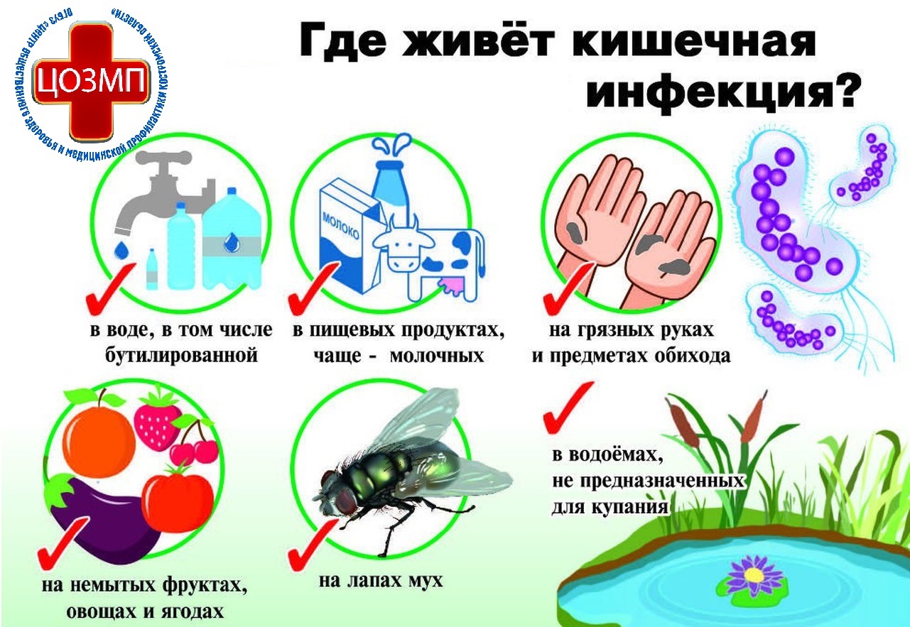 кишечная инфекция.jpg
