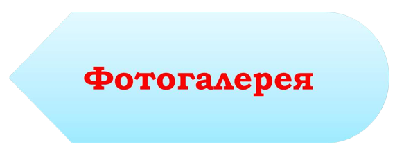 фото-removebg-preview-removebg-preview.png