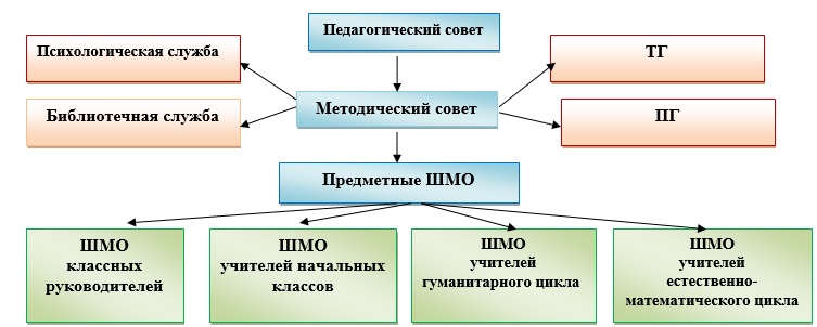Модель ШМС.jpg