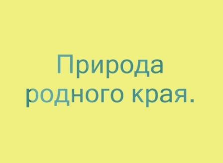 Природа.jpg