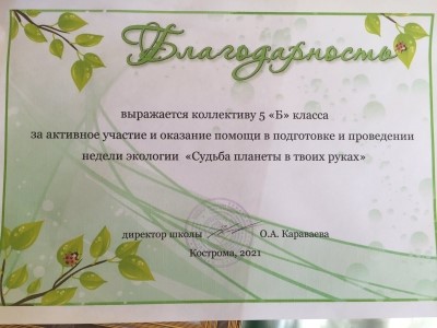 IMG-806bd55a32389a0bb57a1c2b012f810e-V.jpg