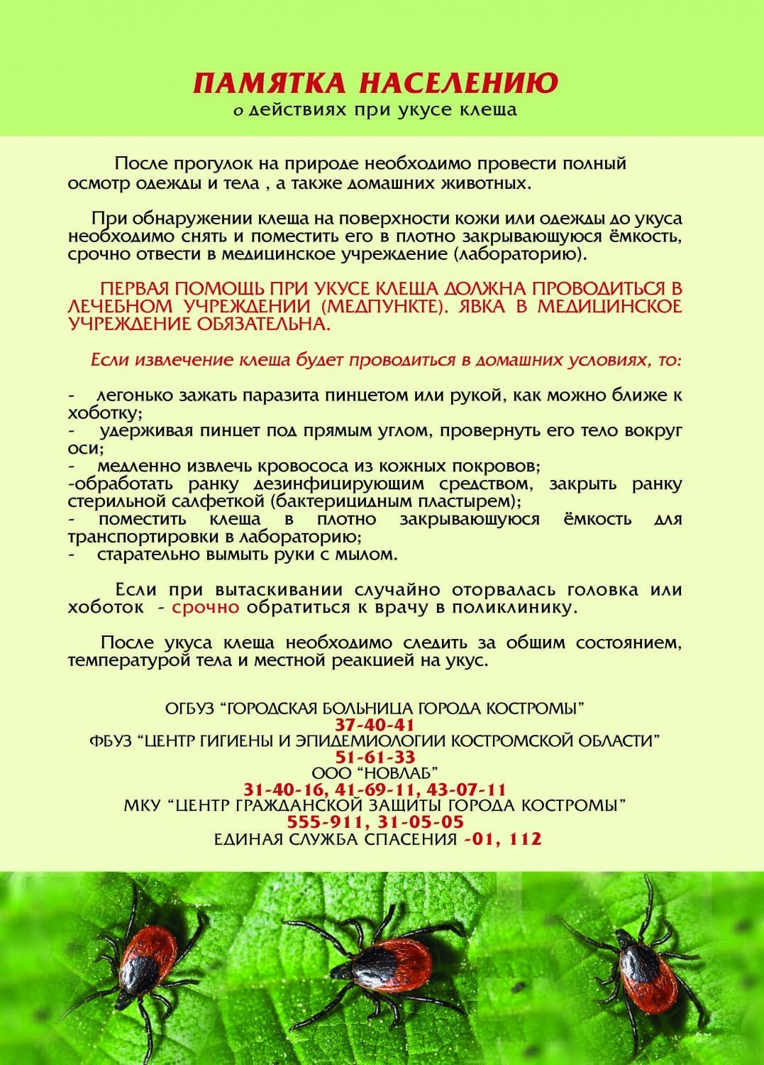 0A29MYLcPr0.jpg