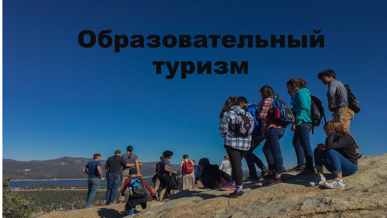 тури.jpg