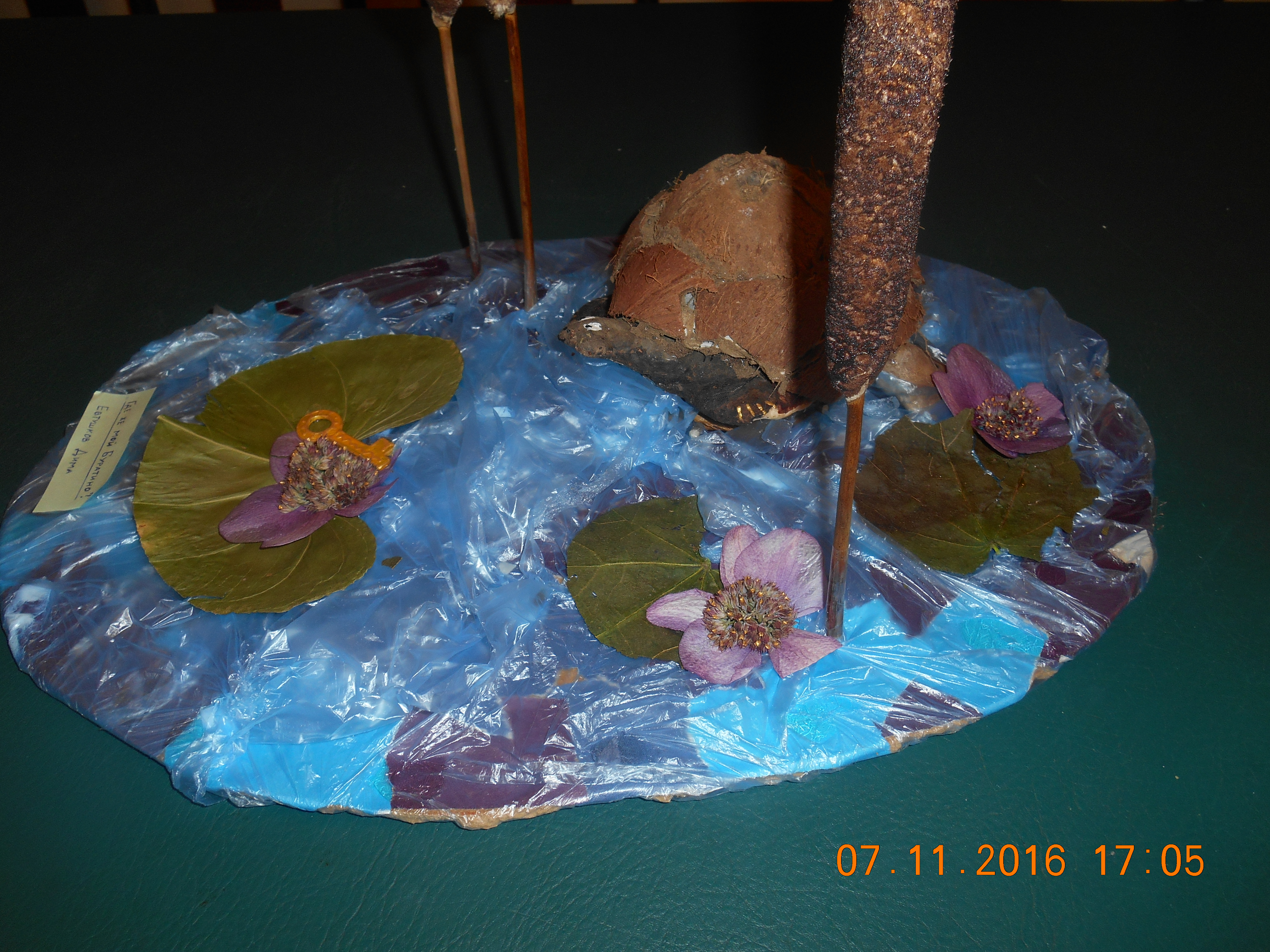 DSCN3646.JPG
