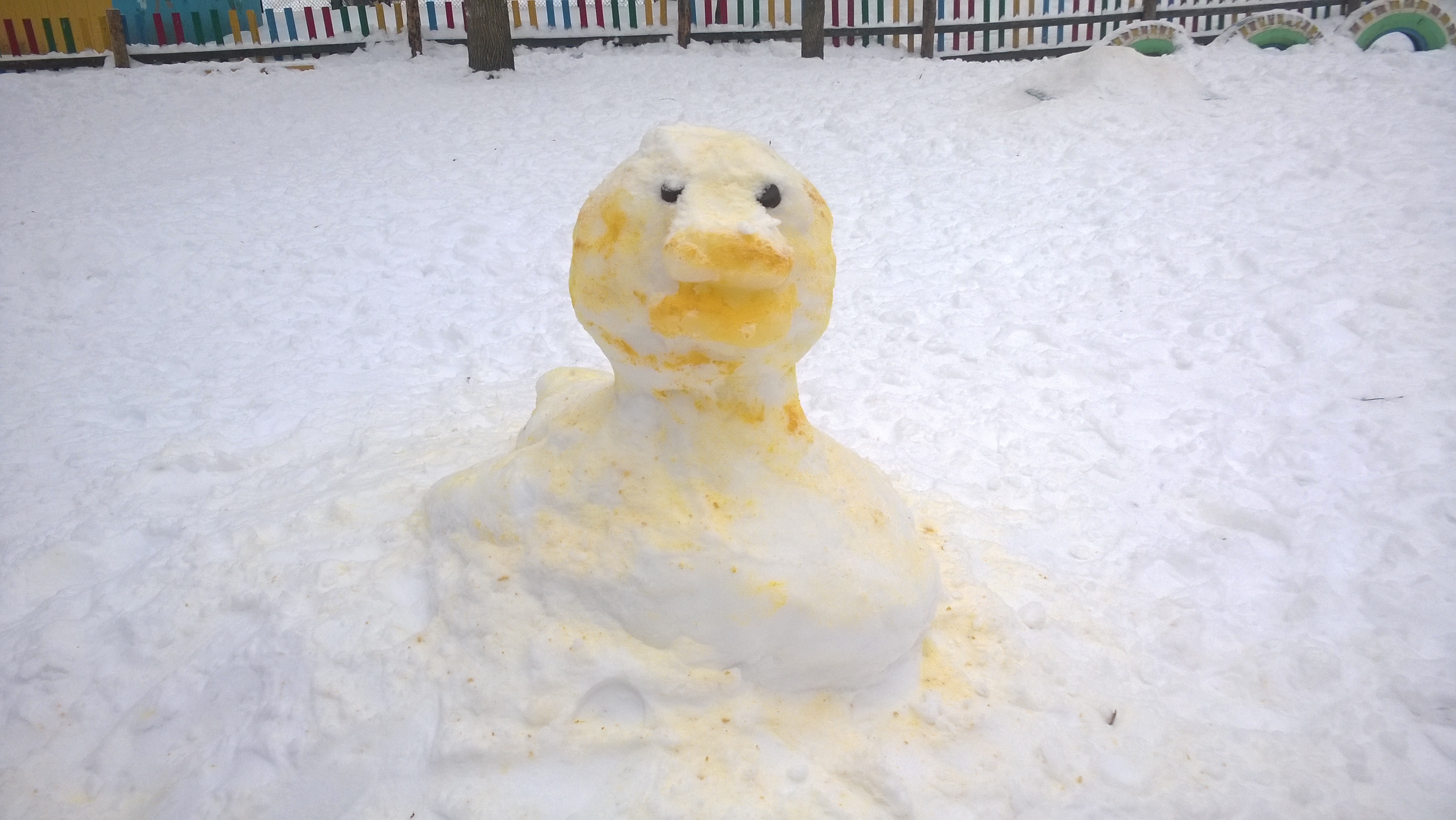 WP_20150128_006.jpg