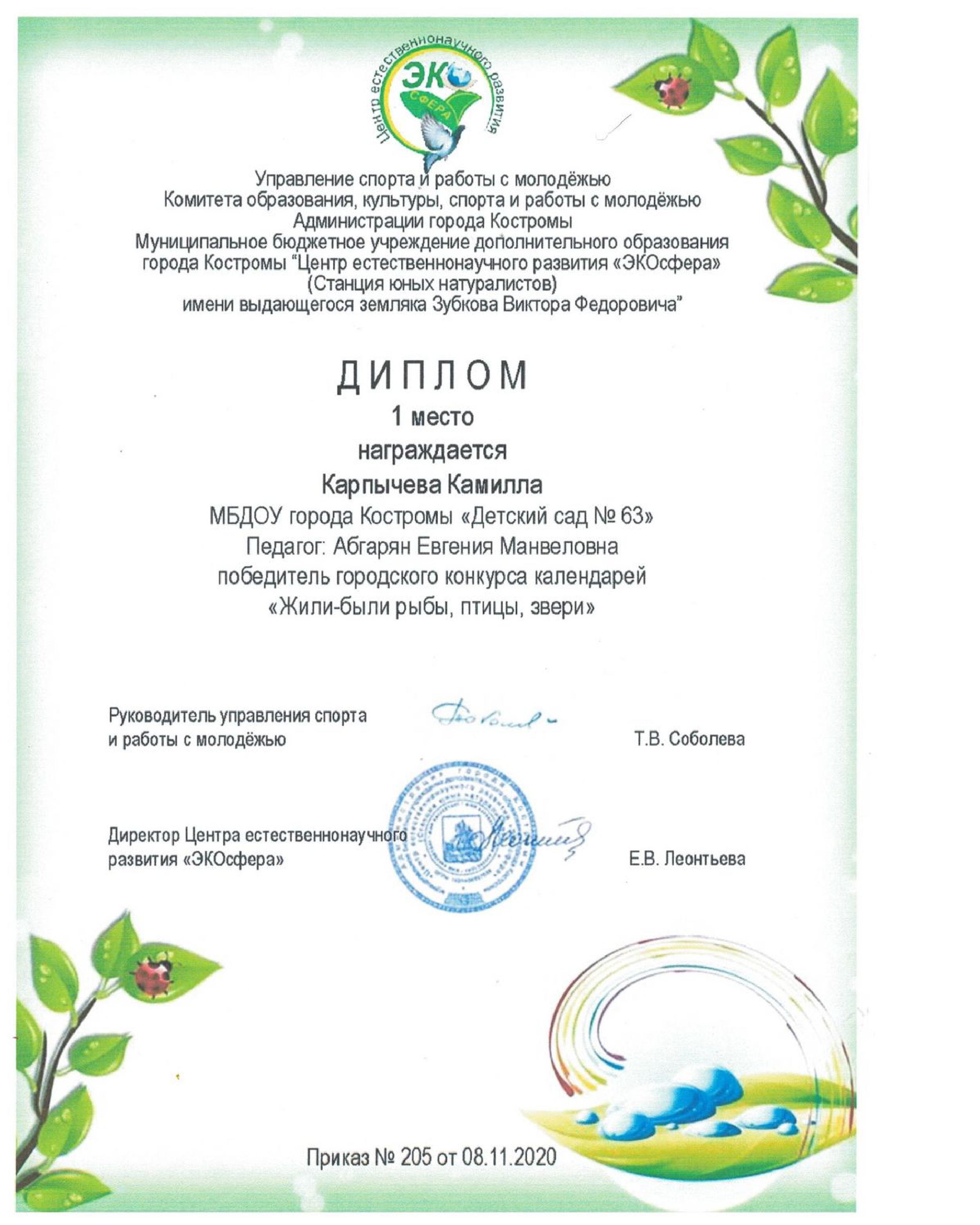 диплом Карпычева.jpg