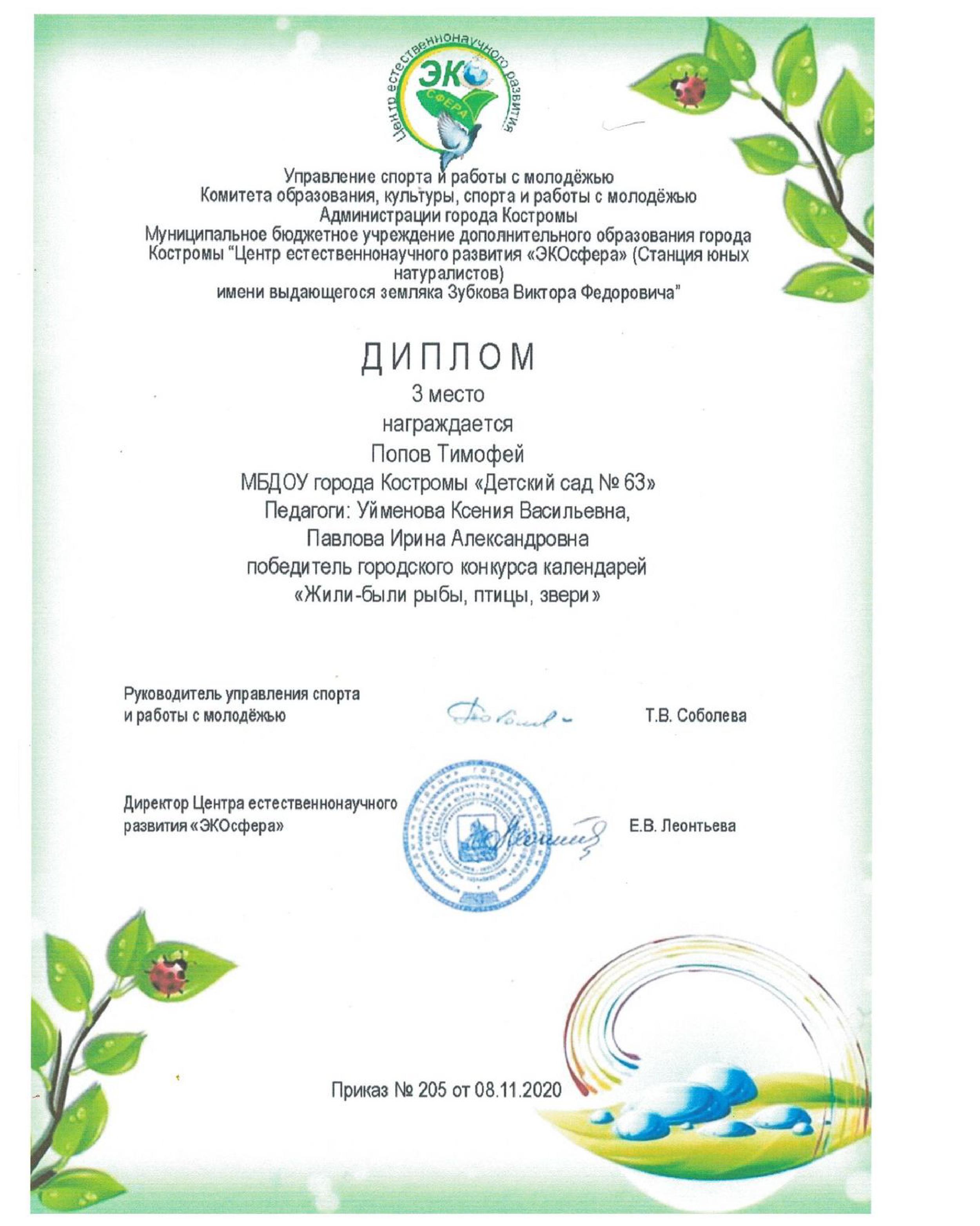 диплом Попов.jpg