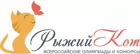 кот.jpg